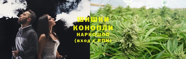 прущие крисы Новодвинск