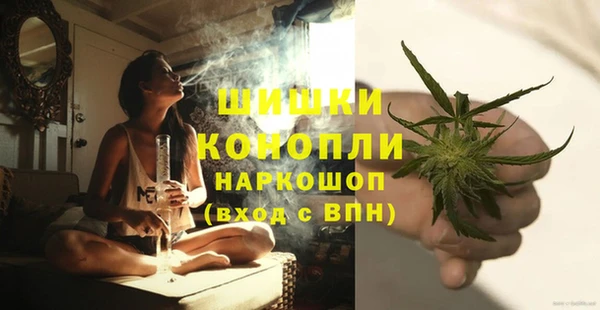 прущие крисы Новодвинск