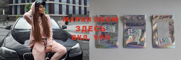 твердый Новокубанск