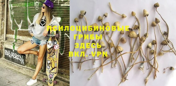 твердый Новокубанск