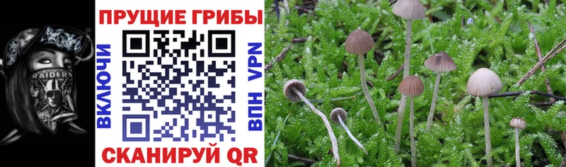 купить  сайты  Корсаков  Галлюциногенные грибы ЛСД 