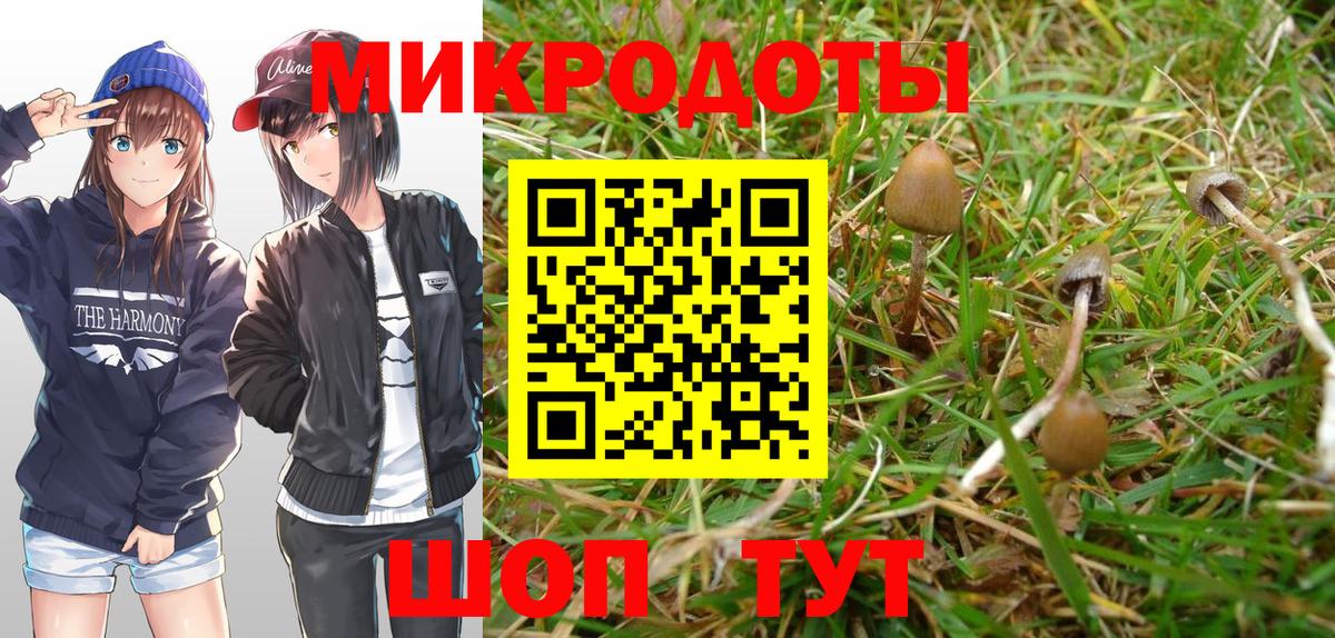 Корсаков  Галлюциногенные грибы Magic Shrooms  Вход с VPN 
