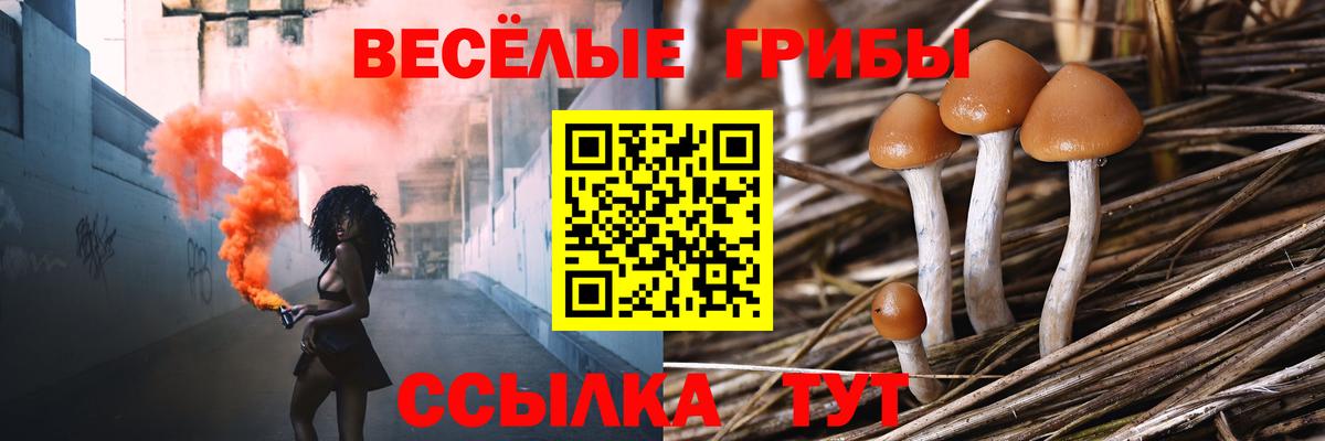 Галлюциногенные грибы мицелий Корсаков